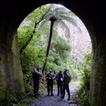 Rimutaka Rail Trail - Tunnel Assessment