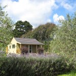 Jacaranda Cottage