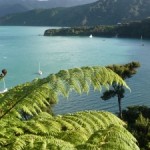 Reisebericht Queen Charlotte Track