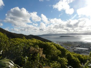 Bucht in Neuseeland, Lower Hutt