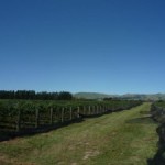 Johner Wine Estates